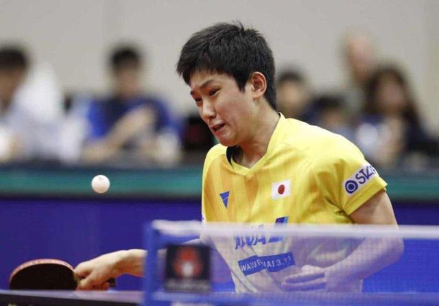 合作的一大 合作的一大