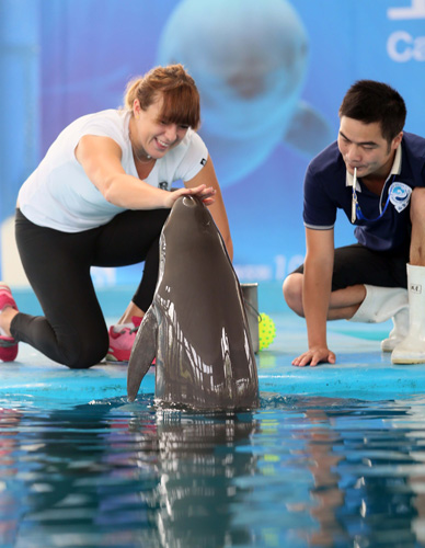 击肋部空隙 击肋部空隙